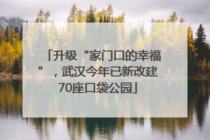 升级“家门口的幸福”，武汉今年已新改建70座口袋公园