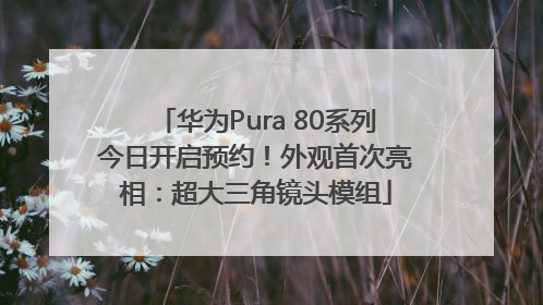 华为Pura 80系列今日开启预约！外观首次亮相：超大三角镜头模组