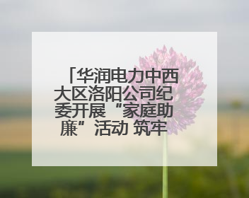 华润电力中西大区洛阳公司纪委开展“家庭助廉”活动 筑牢廉洁防线
