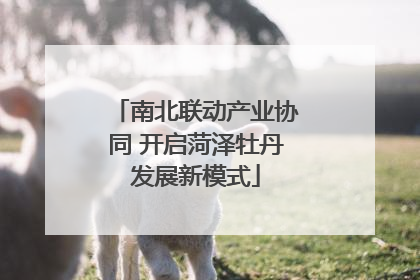 南北联动产业协同 开启菏泽牡丹发展新模式