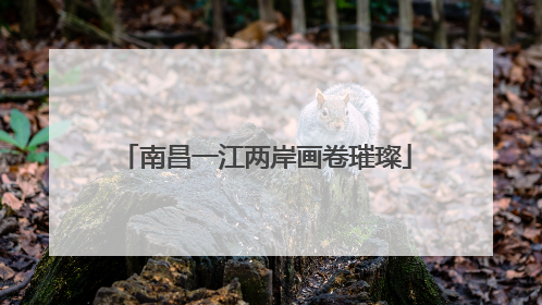南昌一江两岸画卷璀璨