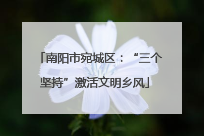 南阳市宛城区：“三个坚持”激活文明乡风