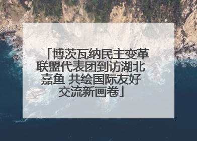 博茨瓦纳民主变革联盟代表团到访湖北嘉鱼 共绘国际友好交流新画卷