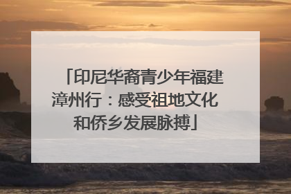 印尼华裔青少年福建漳州行：感受祖地文化和侨乡发展脉搏