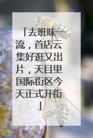 去班味一流，首店云集好逛又出片，天目里国际街区今天正式开街