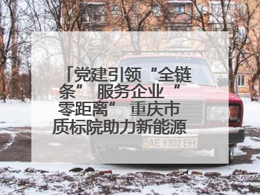 党建引领“全链条” 服务企业“零距离” 重庆市质标院助力新能源汽车产业链提升质量管理水平