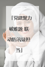党建聚力破难题 联动防汛显担当