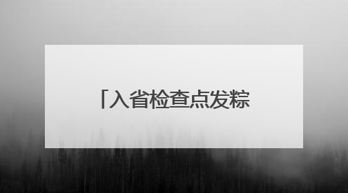 入省检查点发粽子，给外省游客“整不会了”