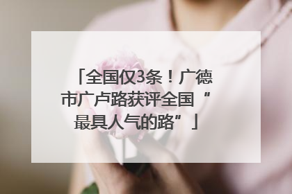 全国仅3条！广德市广卢路获评全国“最具人气的路”