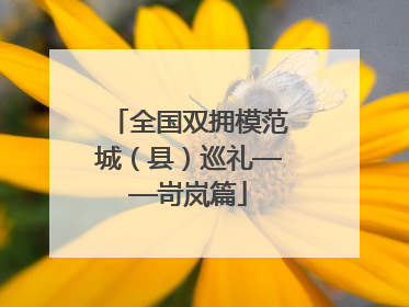 全国双拥模范城（县）巡礼——岢岚篇