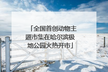 全国首创动物主题市集在哈尔滨极地公园火热开市