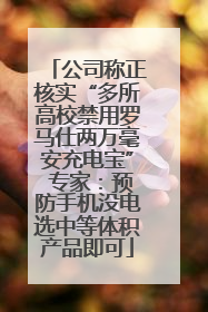 公司称正核实“多所高校禁用罗马仕两万毫安充电宝” 专家：预防手机没电选中等体积产品即可