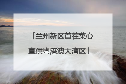兰州新区首茬菜心直供粤港澳大湾区