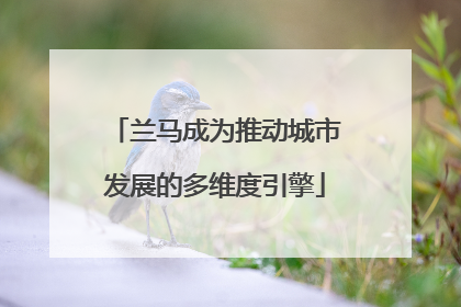 兰马成为推动城市发展的多维度引擎