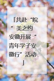 共赴“皖”美之约 安徽开展“青年学子安徽行”活动