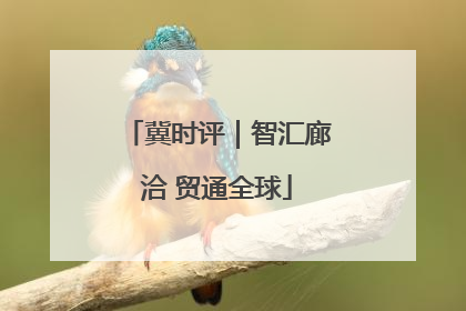 冀时评｜智汇廊洽 贸通全球