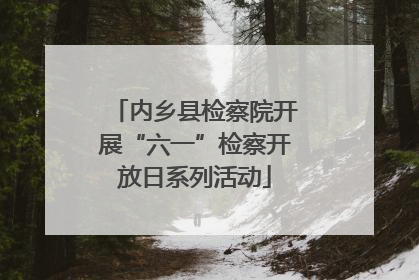 内乡县检察院开展“六一”检察开放日系列活动