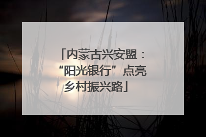 内蒙古兴安盟：“阳光银行”点亮乡村振兴路