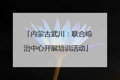 内蒙古武川：联合综治中心开展培训活动
