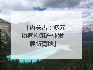 内蒙古：多元协同构筑产业发展新高地