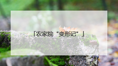 农家院“变形记”