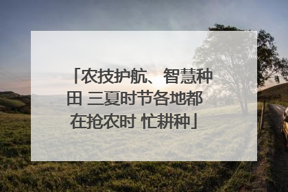 农技护航、智慧种田 三夏时节各地都在抢农时 忙耕种