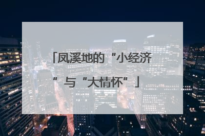 凤溪地的“小经济”与“大情怀”