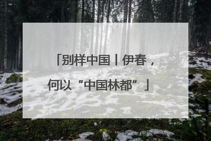 别样中国丨伊春，何以“中国林都”
