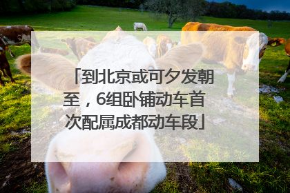到北京或可夕发朝至，6组卧铺动车首次配属成都动车段