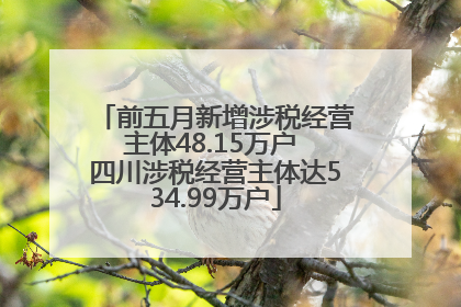 前五月新增涉税经营主体48.15万户 四川涉税经营主体达534.99万户