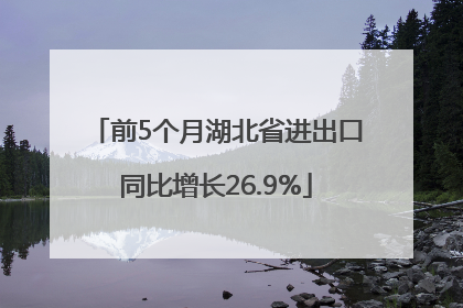 前5个月湖北省进出口同比增长26.9%