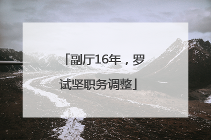 副厅16年，罗试坚职务调整