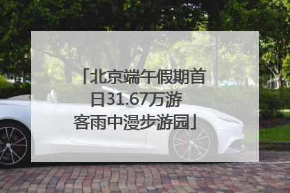 北京端午假期首日31.67万游客雨中漫步游园