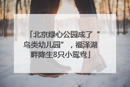 北京绿心公园成了“鸟类幼儿园”，福泽湖畔降生8只小鸳鸯