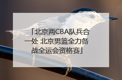 北京两CBA队兵合一处 北京男篮全力备战全运会资格赛