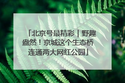 北京号最精彩｜野趣盎然！京城这个生态桥连通两大网红公园