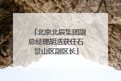 北京北辰集团副总经理胡浩获任石景山区副区长