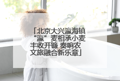 北京大兴瀛海镇“瀛”麦相承小麦丰收开镰 奏响农文旅融合新乐章
