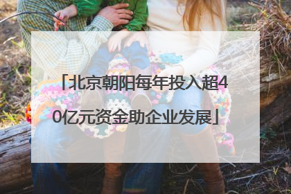 北京朝阳每年投入超40亿元资金助企业发展