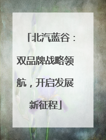 北汽蓝谷：双品牌战略领航，开启发展新征程