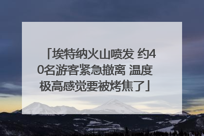埃特纳火山喷发 约40名游客紧急撤离 温度极高感觉要被烤焦了