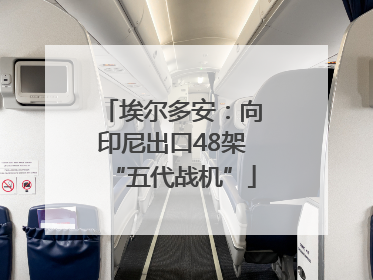 埃尔多安：向印尼出口48架“五代战机”