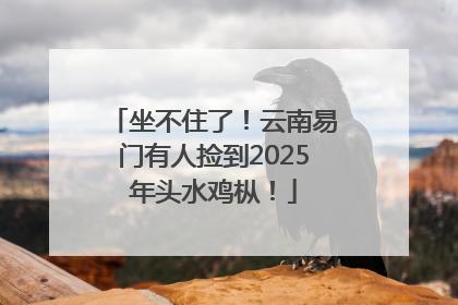 坐不住了！云南易门有人捡到2025年头水鸡枞！