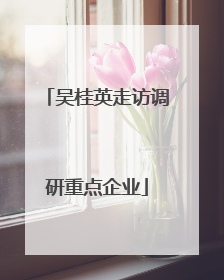 吴桂英走访调研重点企业