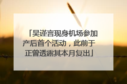 吴谨言现身机场参加产后首个活动，此前于正曾透露其本月复出