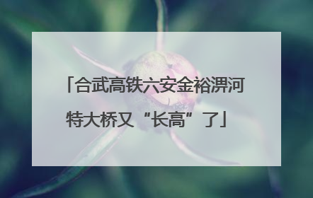 合武高铁六安金裕淠河特大桥又“长高”了
