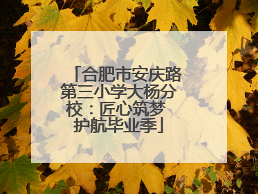 合肥市安庆路第三小学大杨分校：匠心筑梦 护航毕业季