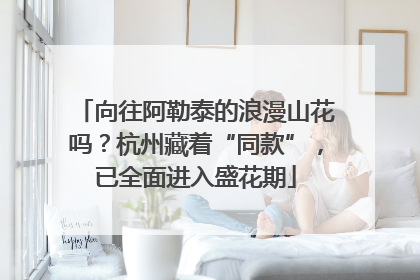 向往阿勒泰的浪漫山花吗？杭州藏着“同款”，已全面进入盛花期