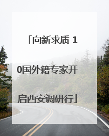 向新求质 10国外籍专家开启西安调研行