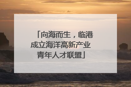 向海而生，临港成立海洋高新产业青年人才联盟
